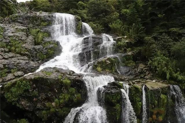 “离离原上草”一诗,为何课本只收录前四句?原来后四句有缺陷