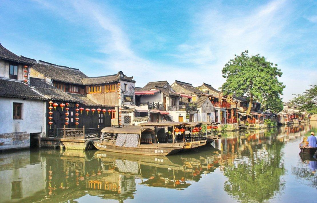 丹阳一寺院门口惊现一只“灵鸟”